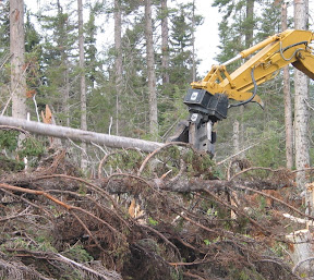 Forestry-RPA