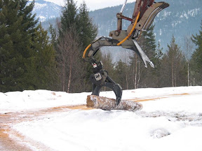 Forestry-Log Grapple
