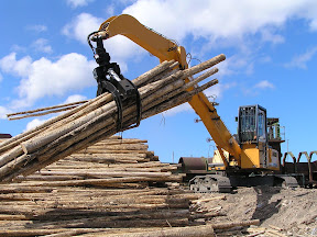 Forestry-Combination Grapple