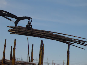 Forestry-Bunching