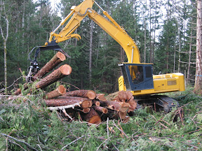 Forestry-Log Grapple
