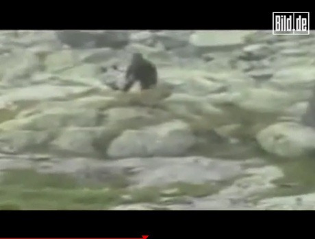 [clip_image002[4].jpg]