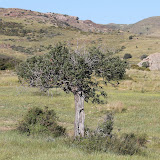 104.JPG