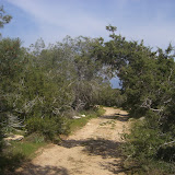 136.JPG