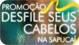 pantene carnaval