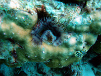 DSC02127.JPG