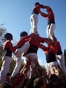 http://lh5.ggpht.com/_Mf0WlVqeCbM/SwQoJrVSILI/AAAAAAAABhI/I1h2yQcGjYI/PB070176.JPG