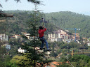 http://lh5.ggpht.com/_Mf0WlVqeCbM/Swresw7b4eI/AAAAAAAADA0/JB2KwwBOw84/PB140510.JPG