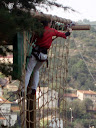 http://lh5.ggpht.com/_Mf0WlVqeCbM/SwrgB8gTgGI/AAAAAAAADCg/wf69al9_WFk/PB140620.JPG