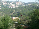 http://lh5.ggpht.com/_Mf0WlVqeCbM/SwrheLleldI/AAAAAAAADEU/8hFowriAUTU/PB140723.JPG