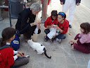 http://lh5.ggpht.com/_Mf0WlVqeCbM/Swrnhk1UxJI/AAAAAAAADNM/VUoE8YDxDrc/PB141212.JPG