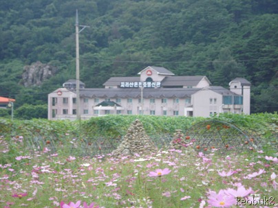 DSC06141
