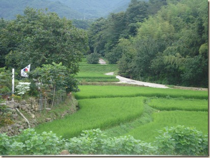 DSC06162