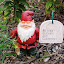 SneIrish's Gnomeville garden