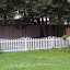 SneIrish's Backyard garden