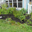 SneIrish's Welcome garden