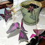 Oxalis - Shamrock Plant - Purple Shamrock