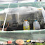 SneIrish's New Stuff Planting & Patiently Waiting garden