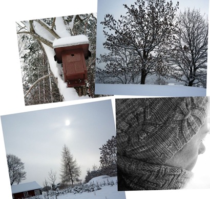 Picnik collage