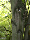 herfst_wandeling13.jpg