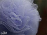 50mmtest6.jpg