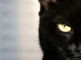 071208-01.jpg