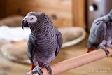 IMG_1024_bartuskn.nl.jpg