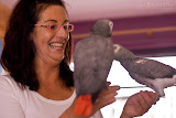 IMG_1049_bartuskn.nl.jpg