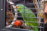 IMG_1051_bartuskn.nl.jpg