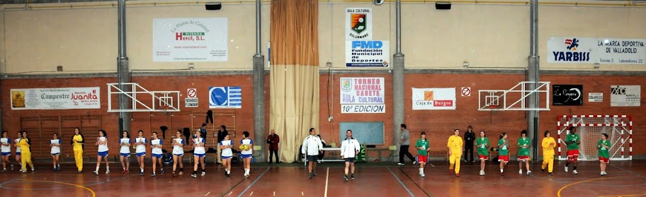 Juvenil F: Aula Cultural Viveros Herol - BM Nava Viveros Herol