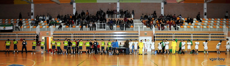 CESTJM: CyL-Euskadi