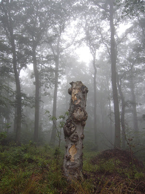 Гейне, говорят...