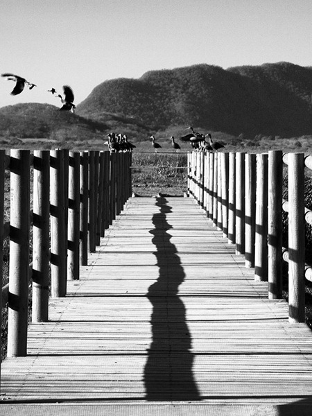 CRW_4135 CRW_4135