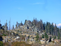 CIMG0378.JPG Photo