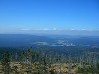 CIMG0380.JPG Photo