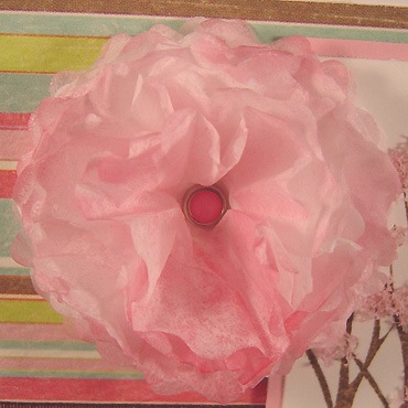 [paper-peony-closeup[3].jpg]