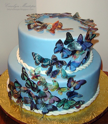 [butterflies[5].jpg]