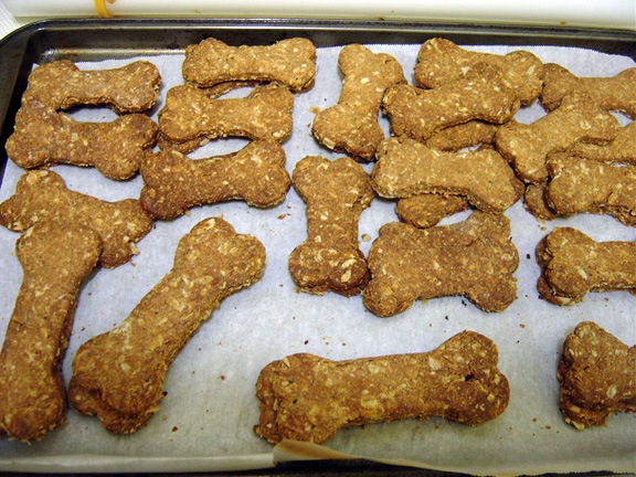 [doggie-treats[4].jpg]
