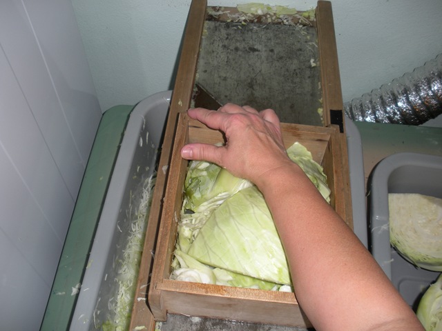 [Sauerkraut 101 011.jpg]