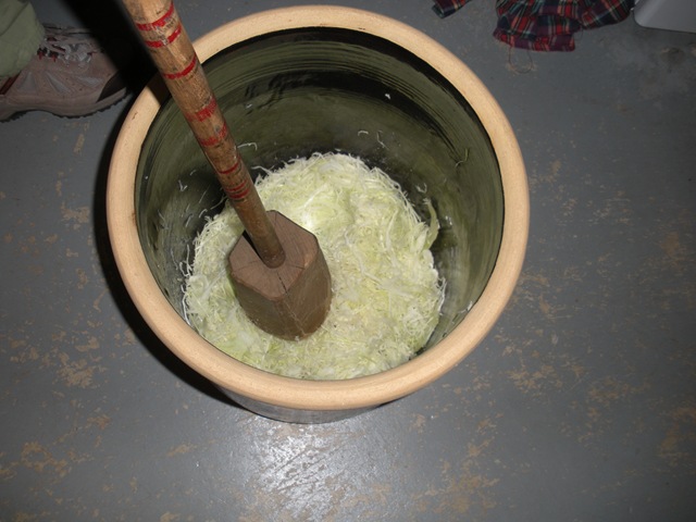 [Sauerkraut 101 008[2].jpg]