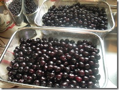 Black Cherries 021