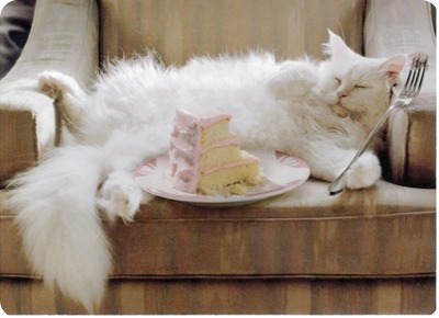 cat_birthday_cake