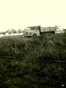 M.photos3894M.jpg