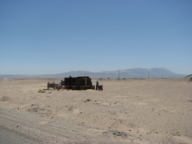 Галопом по перуанским Андам