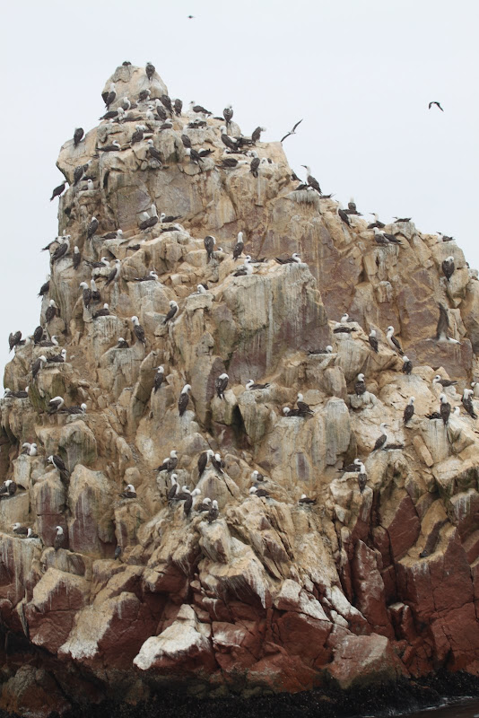 Галопом по перуанским Андам