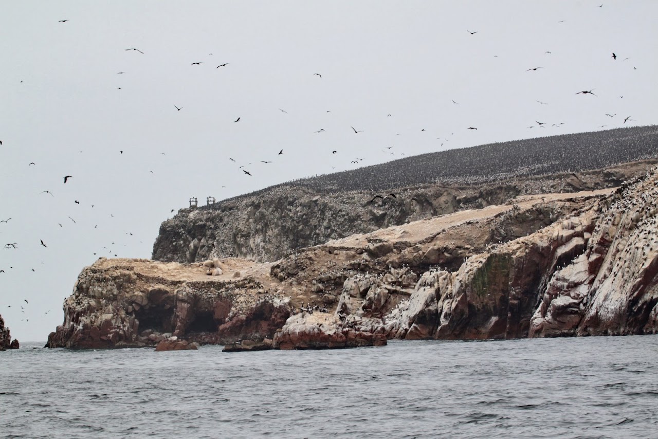 Галопом по перуанским Андам
