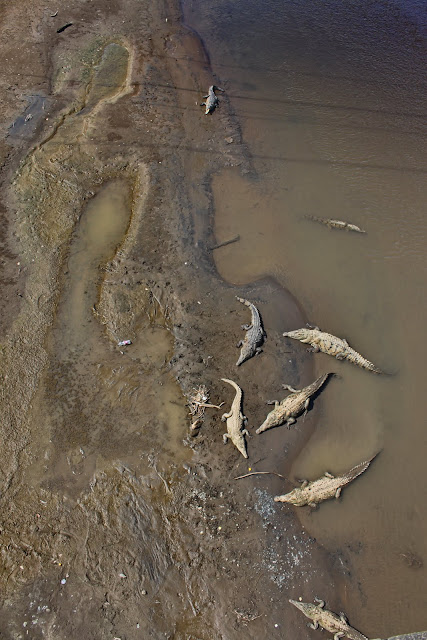 Pura Vida! Тихоокеанское побережье Коста Рики