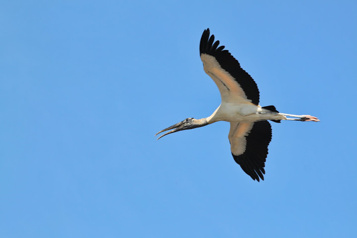 Pura Vida! Тихоокеанское побережье Коста Рики