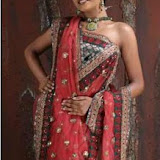 Indian%20Net%20Sarees6 Indian Net Sarees