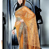 Indian%20Net%20Sarees12 Indian Net Sarees